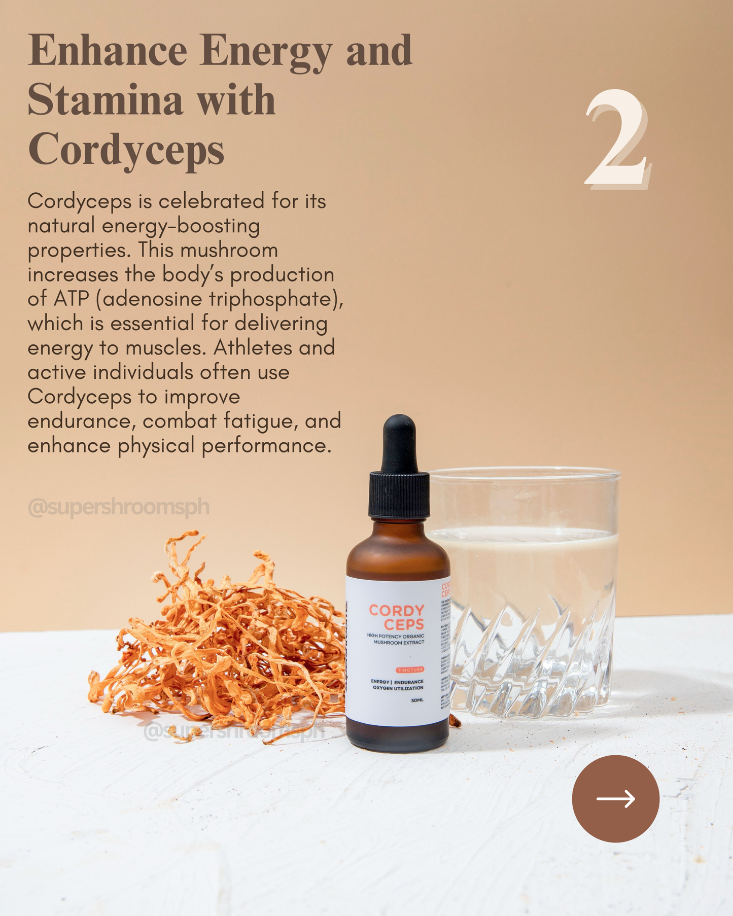 Cordyceps