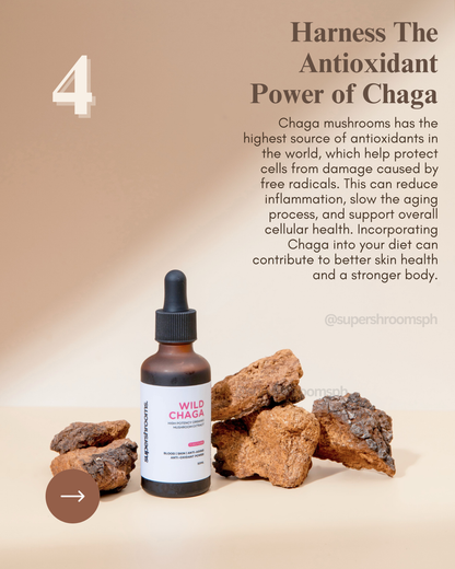 Wild Chaga