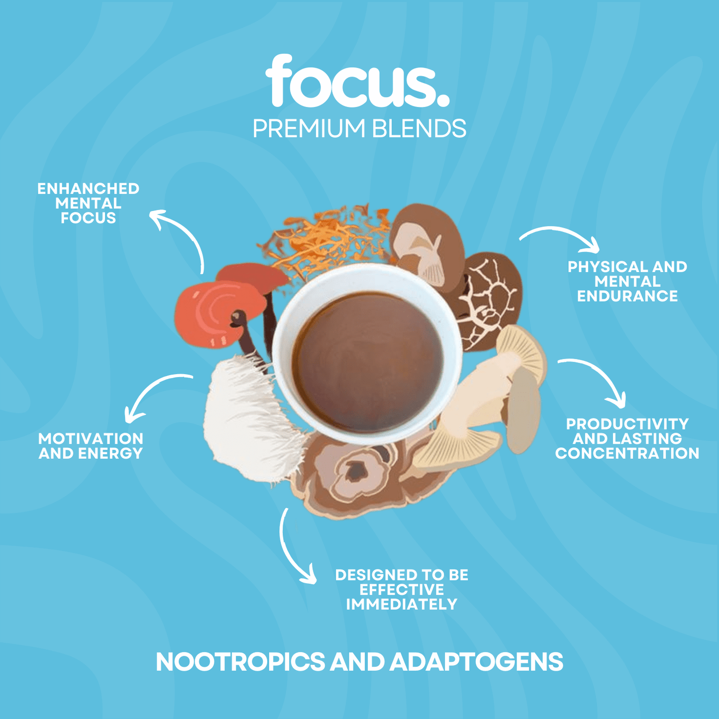 Focus Nootropic